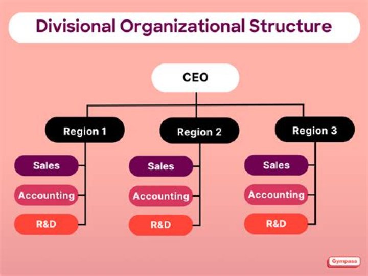 Which is an advantage of the divisional structure quizlet?