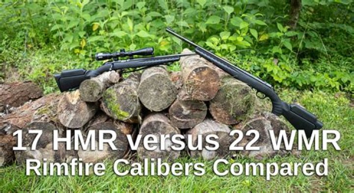 Which is better 17 HMR or 22wmr?