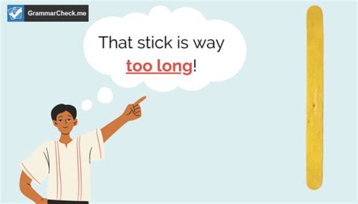 Which is correct to long or too long?