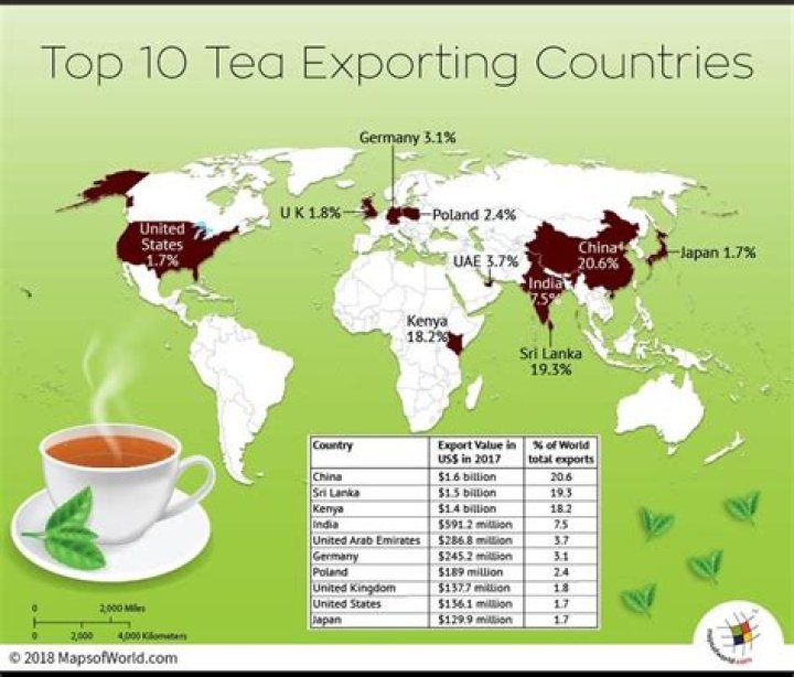 Which is the largest exporter of tea?