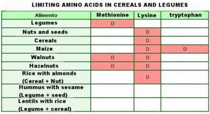 Which is the limiting amino acid in cereals?