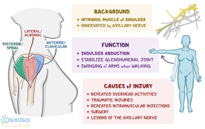 Which is the medical term used to describe joint stiffness?