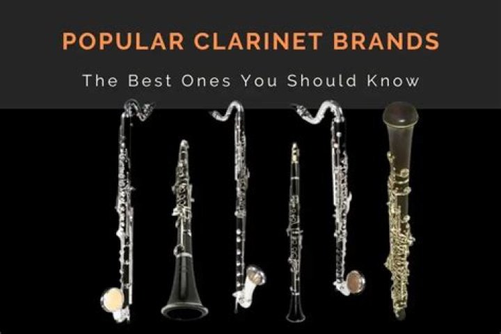 Which is the most popular clarinet that is used?