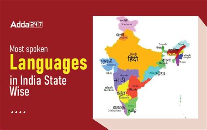 Which language is used in ns2?