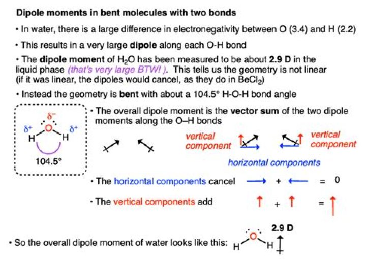 Which molecule should have the higher dipole moment and why?