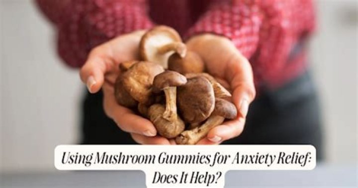 Which mushroom is best for anxiety?