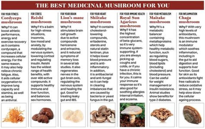 Which mushrooms have the best flavor?