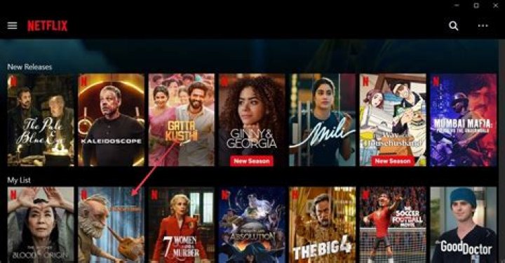 Which Netflix movies are downloadable?