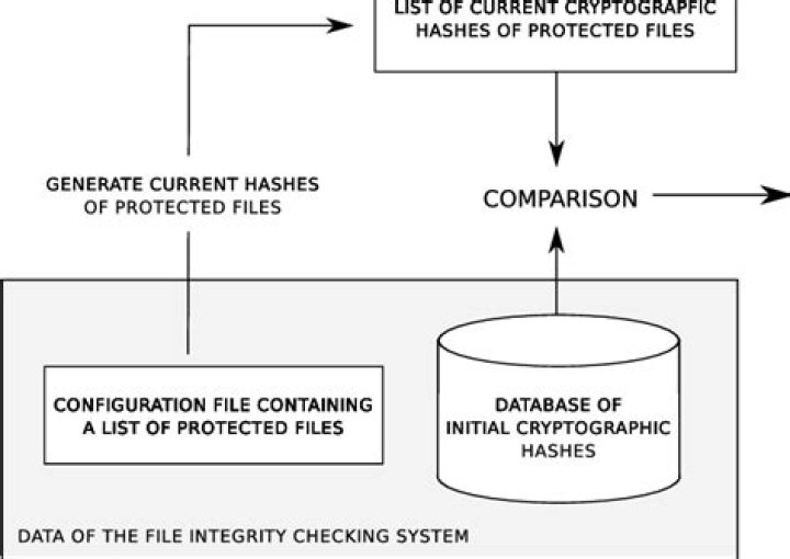 Which of the following is a file system integrity checking program?