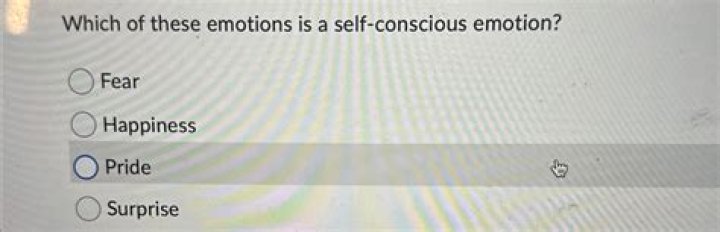 Which of the following is an example of a self conscious emotion?