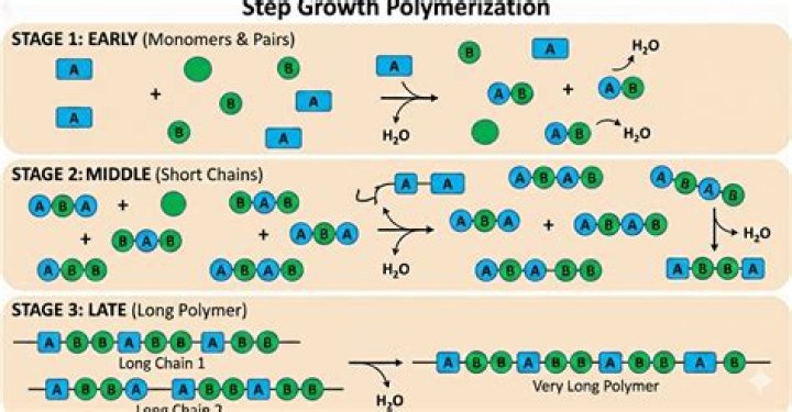 Which of the following is an example of step growth polymer?