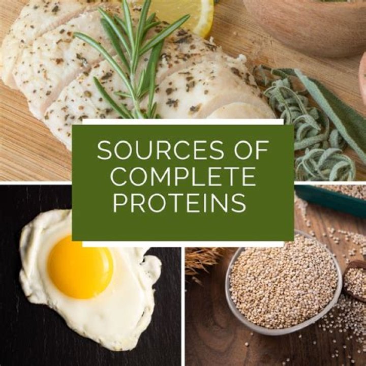 Which of the following is considered a source of complete proteins?