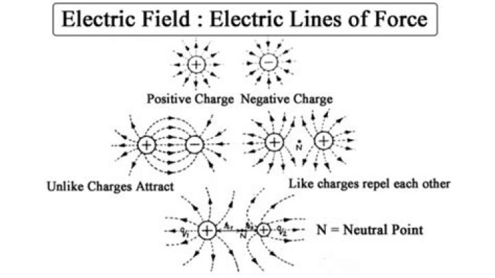 Which of the following is not a characteristics of electric field lines?