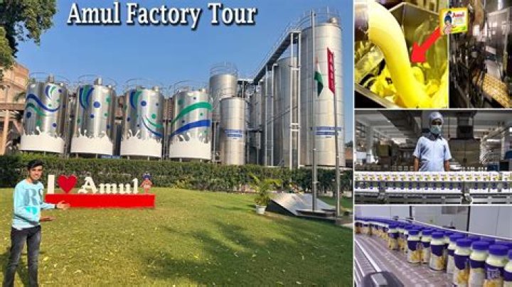 Which products are made in Amul factory?