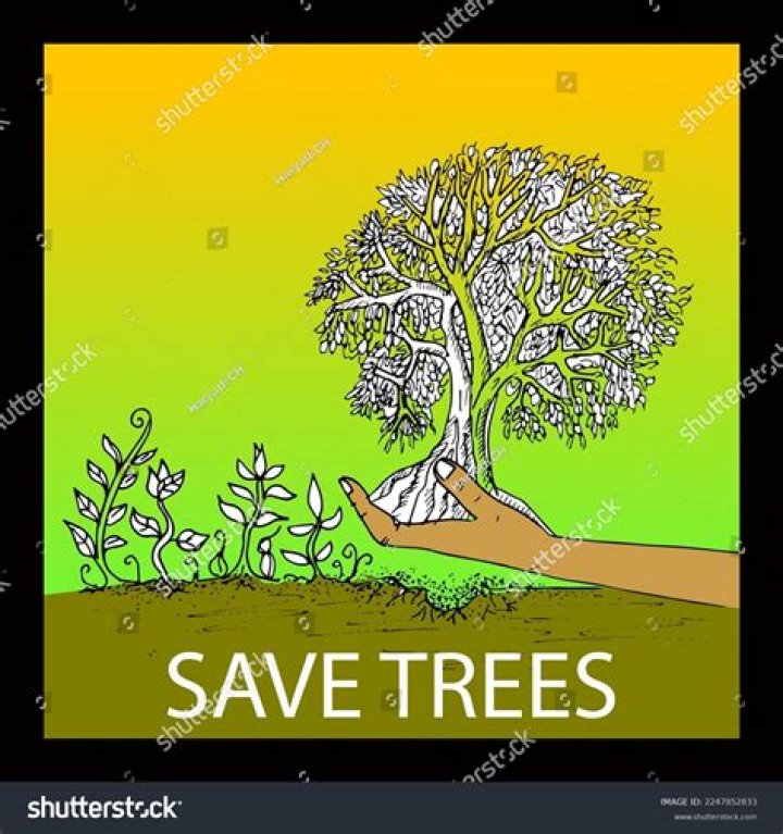 Which Programme helps to save trees?