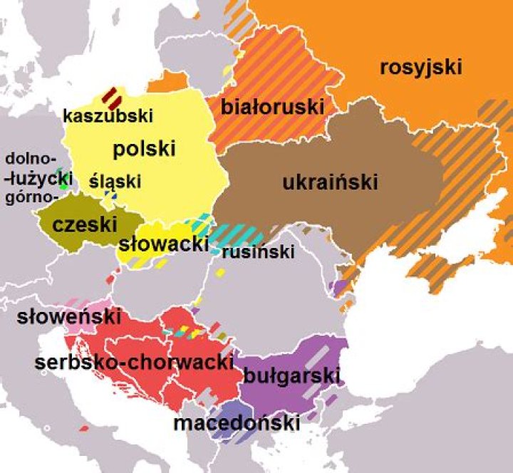 Which Slavic language to learn first?