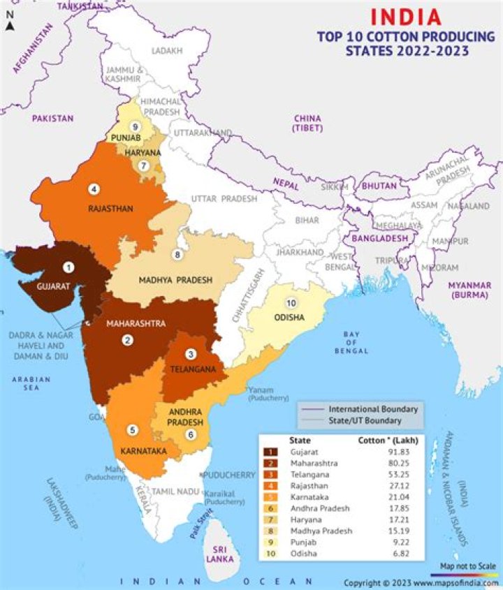 Which states of India are famous for producing silk and wool?