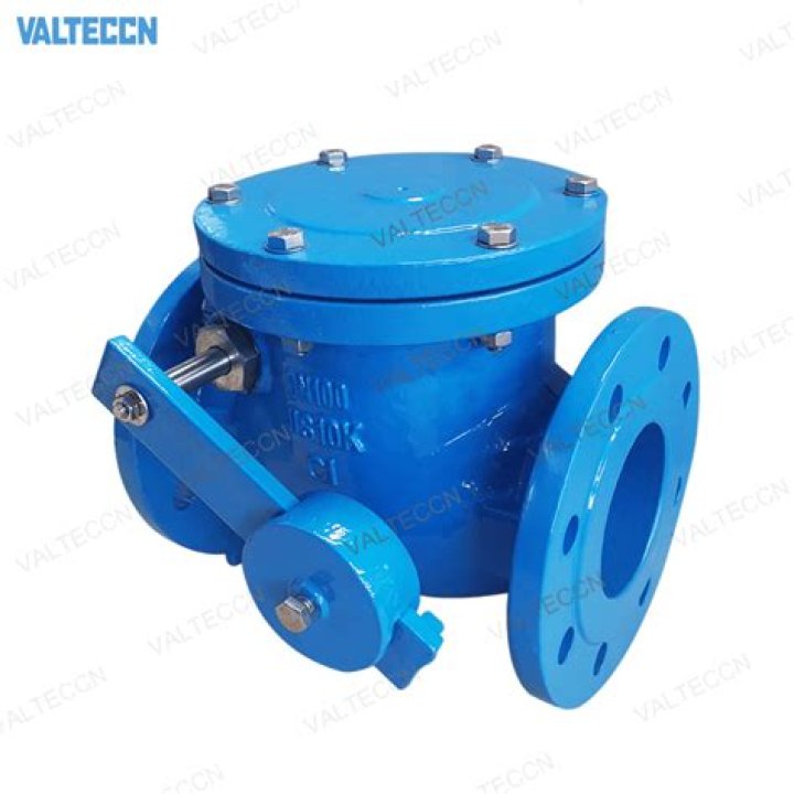 Which swing check valve is used for control water flow?