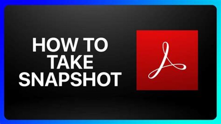 Which tab has Snapshot button?
