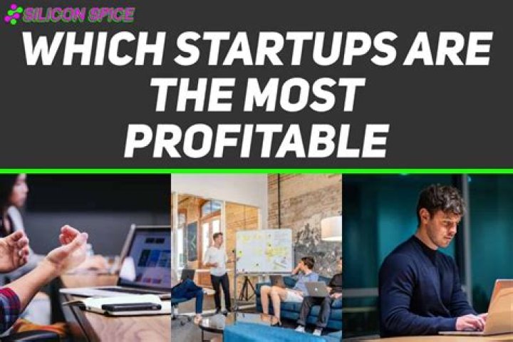 Which type of startups are most profitable?