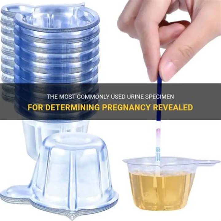 Which urine specimen is most commonly used to determine pregnancy?