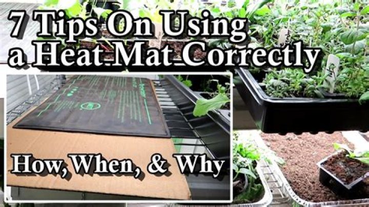 Which way up should a heat mat go?