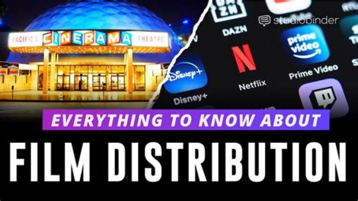 Who are the major film distributors?