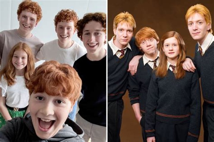 Who are the twins in Harry Potter and the Half Blood Prince?