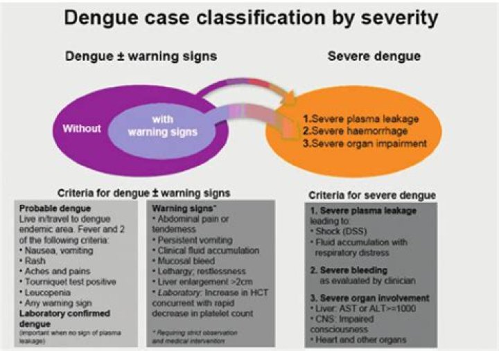 WHO dengue classification 2009?