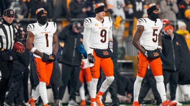 Who did the Bengals get in free agency?