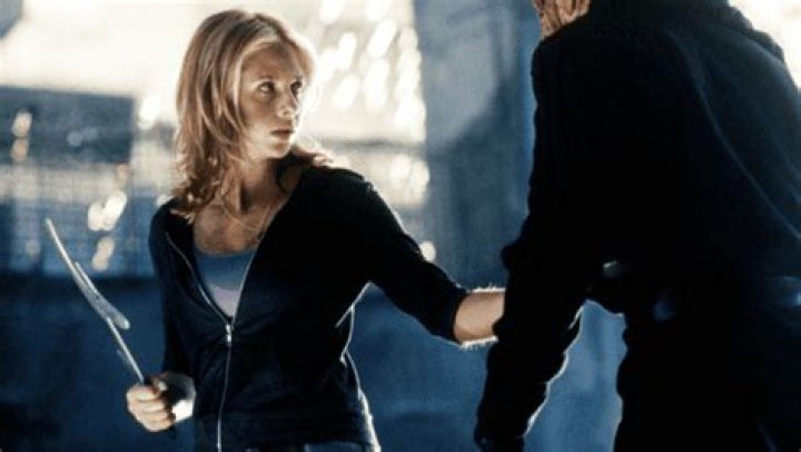 Who did the fight scenes in Buffy?