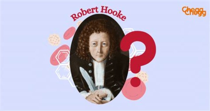 Who discovered red blood cells?