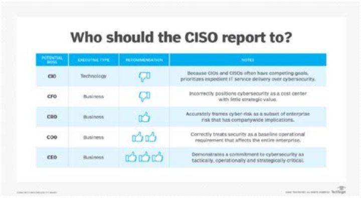 Who does Chief Information Officer report to?