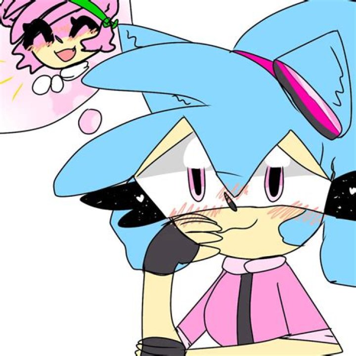 Who has a crush on Amy Rose?