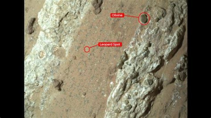 Who has covered life on Mars?