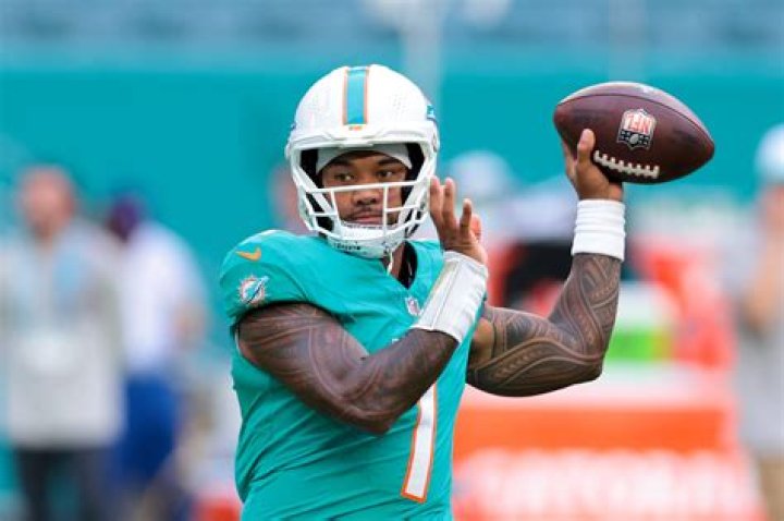 Who has owned Miami Dolphins?