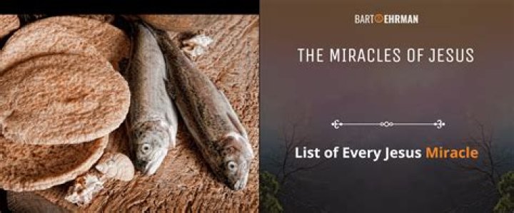 Who in the Bible performed miracles?
