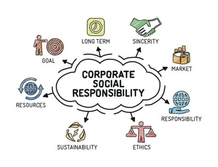 Who is responsible business strategy?