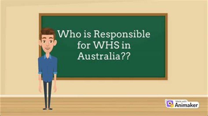Who is responsible for WHS?