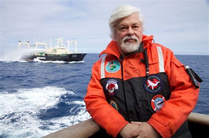 Who is the captain of the Nisshin Maru?