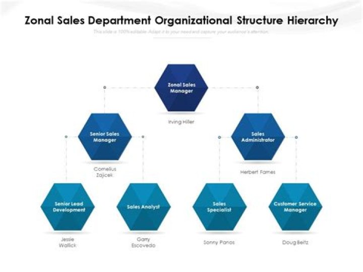 Who is the head of commercial department at zonal level?