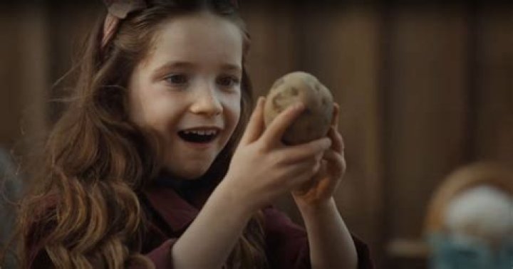 Who is the little girl in the professional?