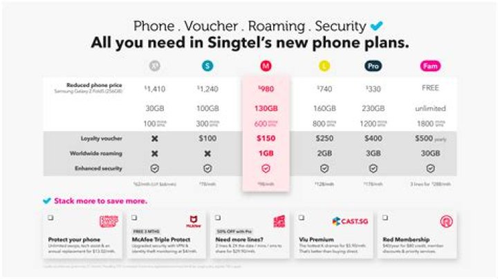 Who is the owner of Singtel?
