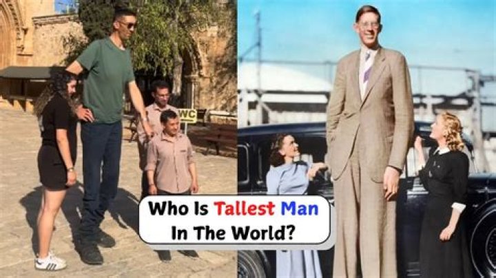 Who is the tallest person in Karnataka?
