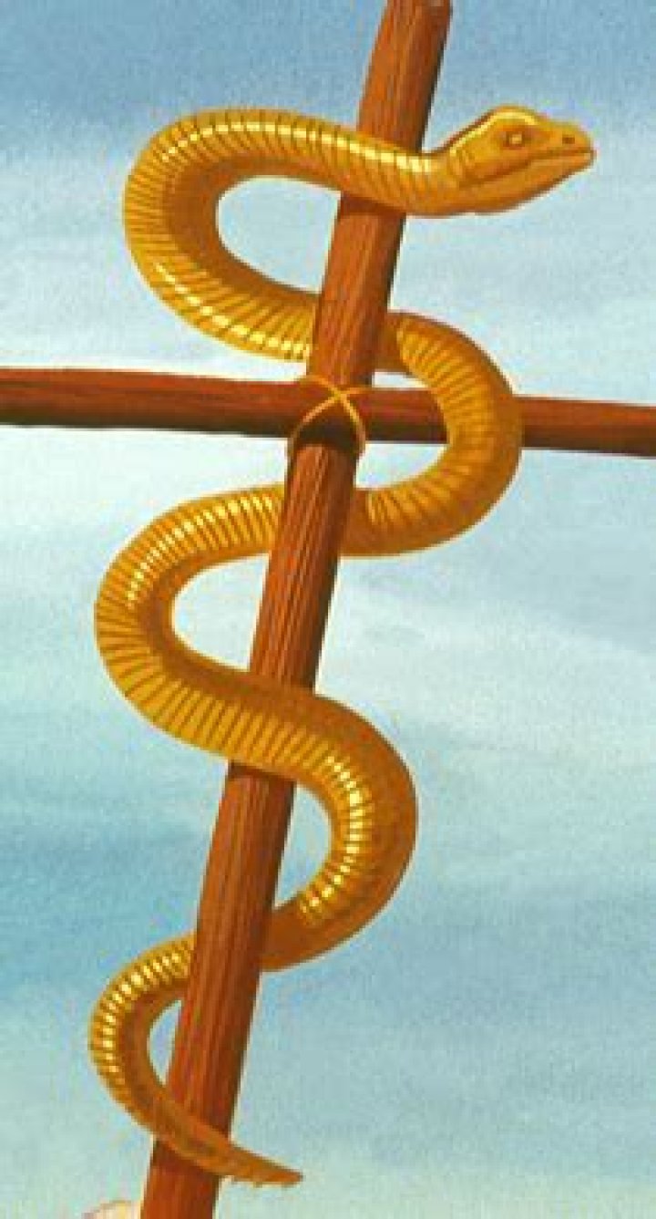 Who made the bronze snake?