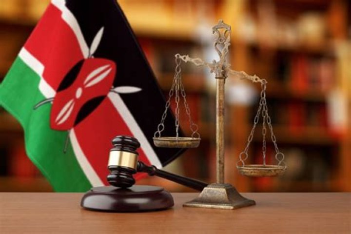 Who makes laws in Kenya?