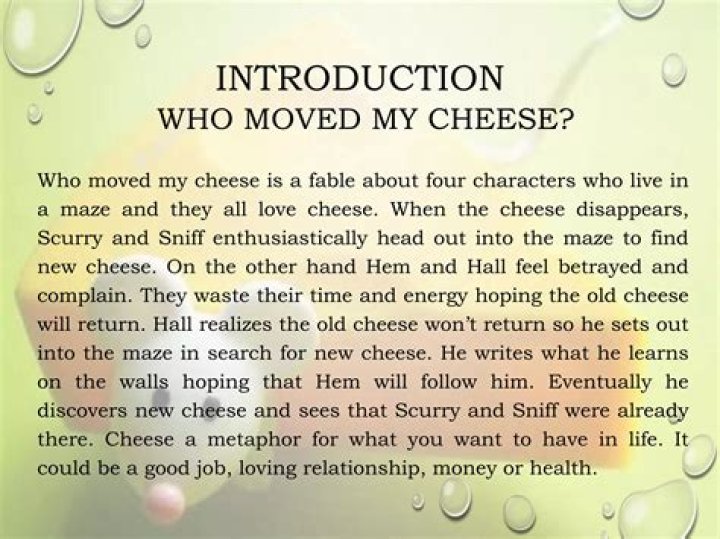 Who Moved My Cheese Maze is a metaphor for what?