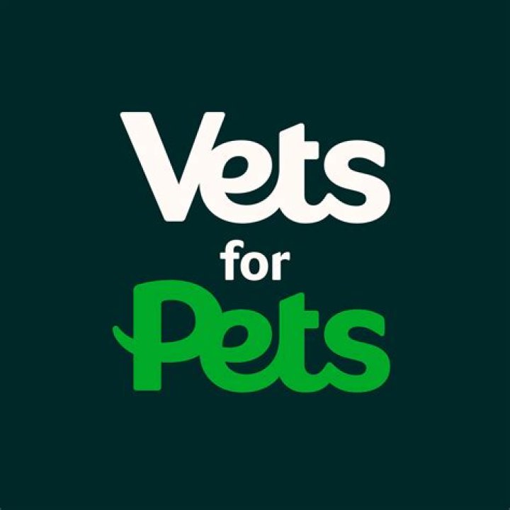 Who owns Vets 4 Pets?