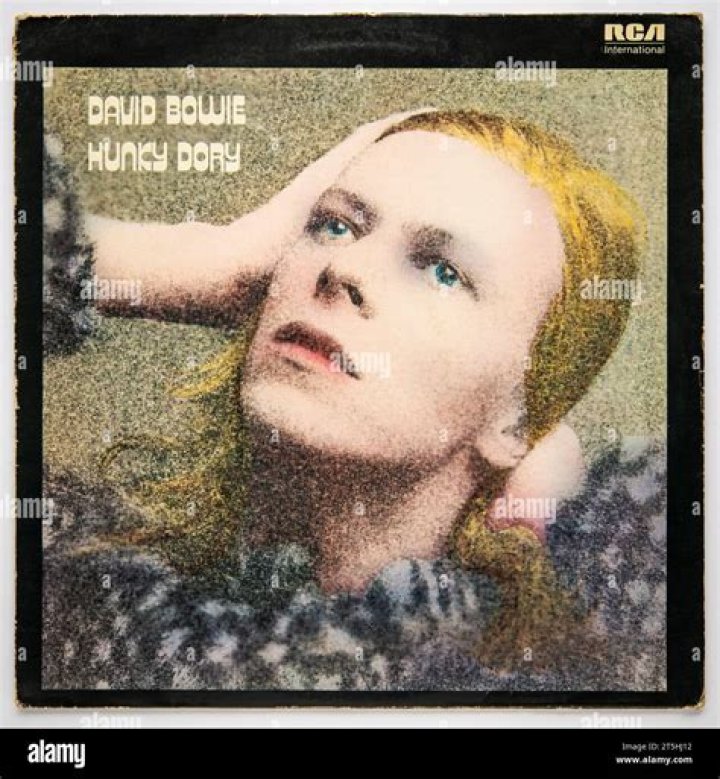 Who played guitar on hunky dory?