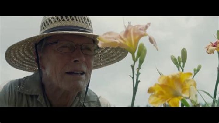 Who sang song in the mule?